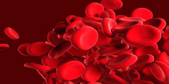 Kan Bankacılığı ve Transfüzyon Tıbbı Eğitimi