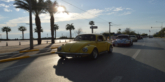 Antalya'da Renkli Organ Bağışı Etkinliği